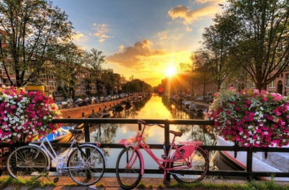 Նիդերլանդները թույլ են տվել քաղաքական ապաստան խնդրած թուրք զինորներին մնալ երկրում