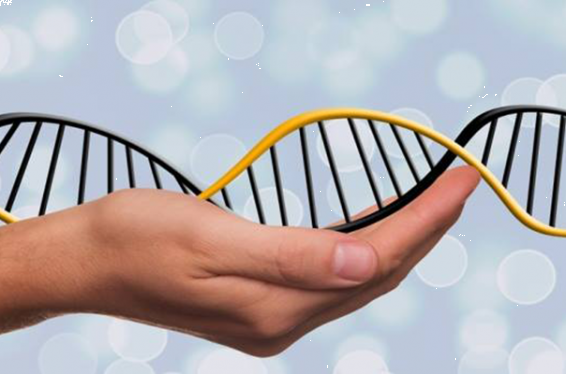 ԱՄՆ-ում հնարավոր են համարում ապագայում գենետիկորեն մոդիֆիկացված մարդկանց ստեղծումը