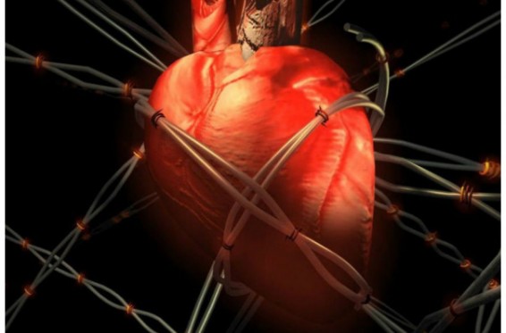 Սիրտը պաշտպանելու 3 պարզ ու հաճելի միջոց