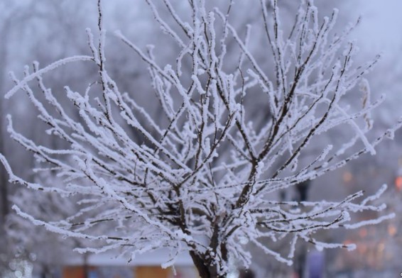 Ինչ եղանակ է սպասվում առաջիկա օրերին
