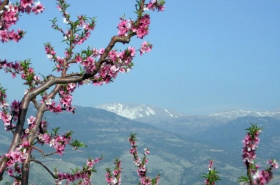 Ինչ եղանակ է սպասվում մարտին. ԱԻՆ