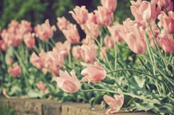 Եղանակը Հայաստանում