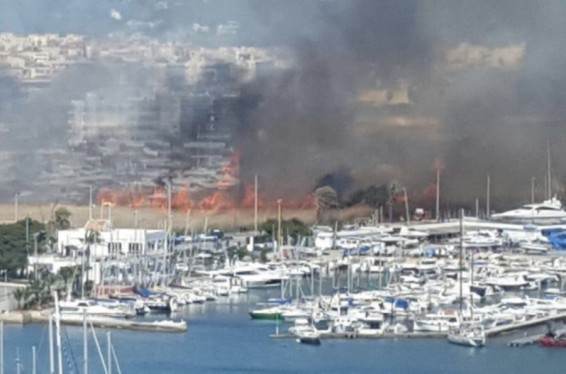 Video. Իբիցայում անտառային հրդեհ է մոլեգնում