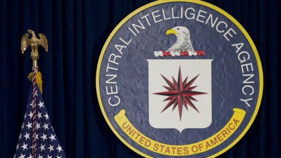 ЦРУ: публикации Wikileaks помогают врагам США