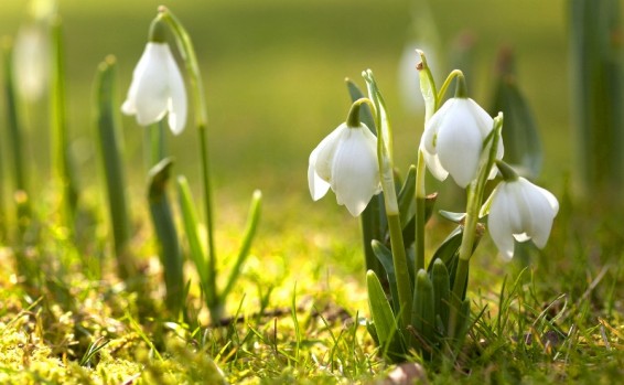 Եղանակը Հայաստանում