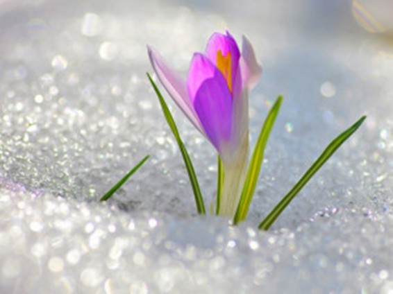 Եղանակը Հայաստանում