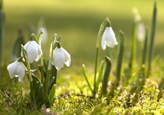 Եղանակը Հայաստանում