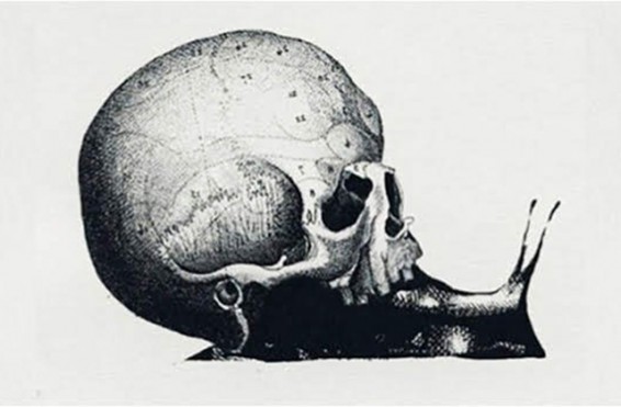 Ինչ եք տեսնում այս լուսանկարում. թեստ, որը կբացահայտի բնավորությունը