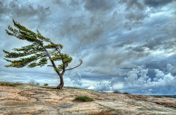 Սպասվում է ձյան առատ տեղումներ, քամու ուժգնացում. եղանակը առաջիկա օրերին