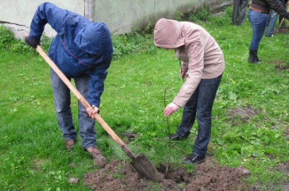 Ապրիլի 15-ին մայրաքաղաքում կանցկացվի համաքաղաքային շաբաթօրյակ և ծառատունկ