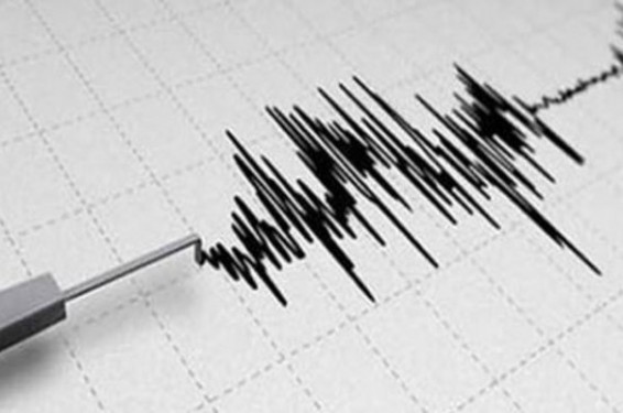 Վանում 4.2 մագնիտուդ ուժգնությամբ երկրաշարժ է գրանցվել