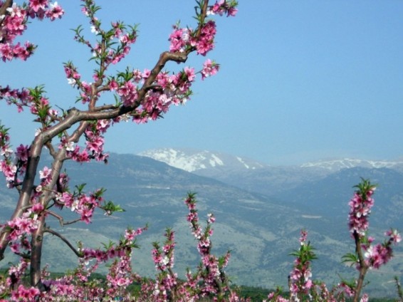 Եղանակը Հայաստանում