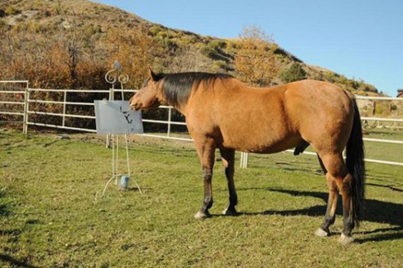Որքան կենդանի է բնակվում Երևանի կենդանաբանական այգում