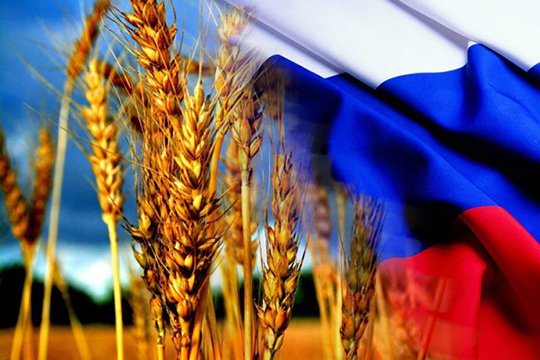 Թուրքիան չեղարկել է ռուսական ցորենի ներմուծման սահմանափակումները