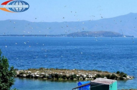 Մարտունի քաղաքում մեկնարկել են հանրային լողափի հիմնման աշխատանքները