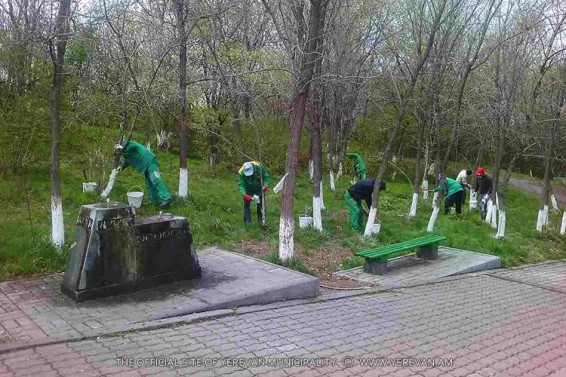 Շարունակվում է ծառերի կրապատումը