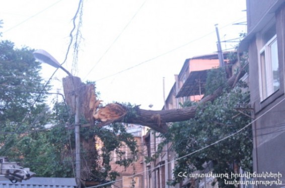 Արտակարգ դեպք Երևանում. Ծառն ընկել է պատշգամբի վրա