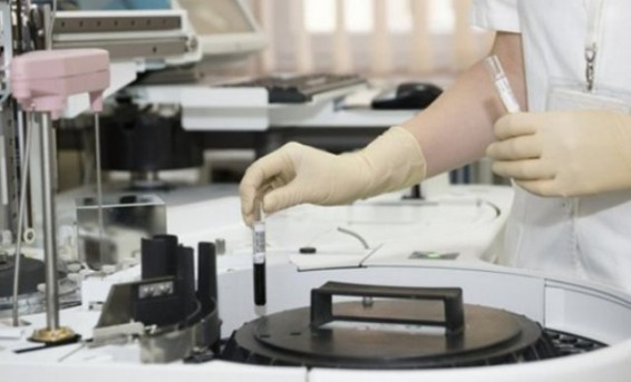 Նիդեռլանդներում կթույլատրեն մարդու էմբրիոններ աճեցնել ուսումնասիրությունների համար