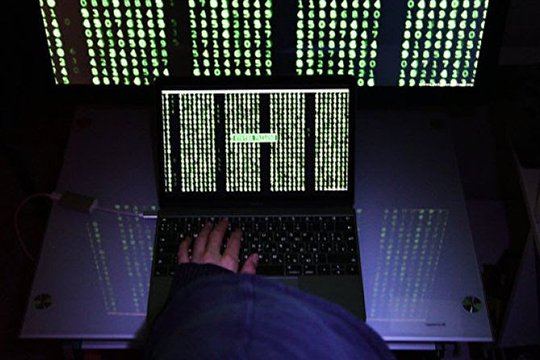 Իսրայելում շորթիչ-վիրուսի նոր տիպ են հայտնաբերել