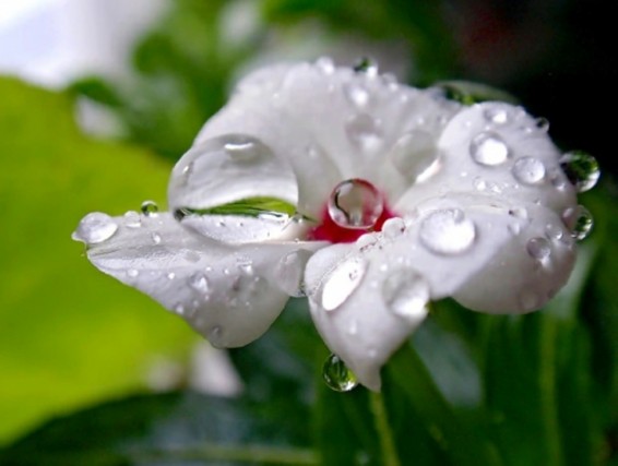 Մայիսի 20-21-ը հանրապետության տարածքը կգտնվի հզոր ցիկլոնի ազդեցության գոտում