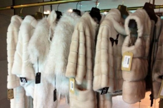 Վլադիվոստոկի օդանավակայանի բեռնակիրներն ուղեբեռից մուշտակներ են գողացել և դրանք նվիրել իրենց մտերիմներին