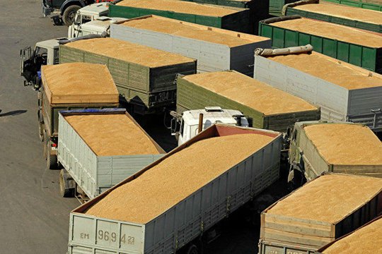 Թուրքիան ռուսական ցորենի ներմուծման նոր սահմնափակումներ Է մտցրել