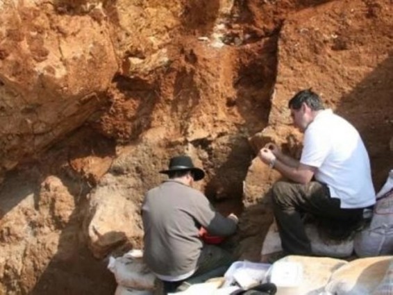 Չինաստանում պեղումներ են սկսել դինոզավրերի բրածոների հայտնաբերման վայրում