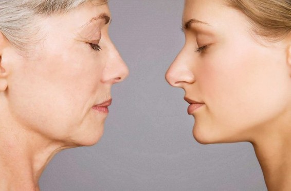 Ամերիկացի կենսաբանները մաշկի երիտասարդացման արդյունավետ և էժան միջոց են գտել