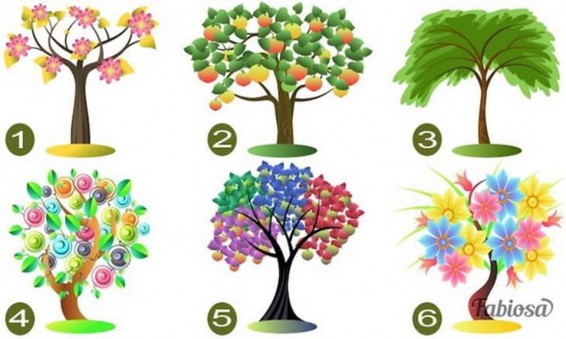 Թեստ. Ընտրեք ծառը և իմացեք ձեր անձի գաղտնիքները