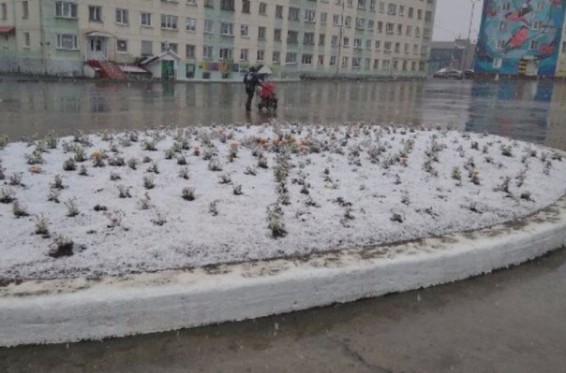 Մուրմանսկում ձյուն է տեղացել