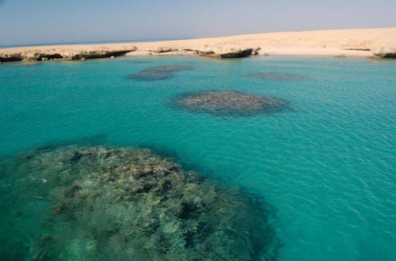 Եգիպտոսի Սահմանադրական դատարանը կասեցրել է Կարմիր ծովի 2 կղզին Սաուդյան Արաբիային փոխանցելու գործընթացը