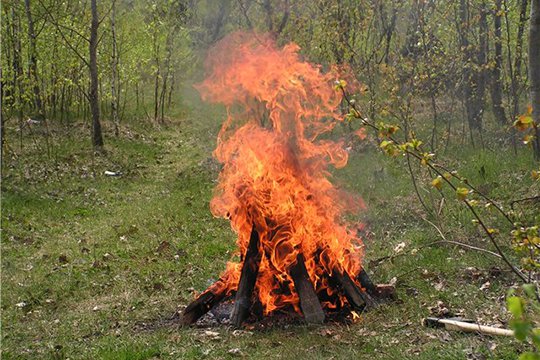 Ամռան ամիսներին պետք է խուսափել խոտածածկ տարածքներում խարույկներ վառելուց. ԱԻՆ