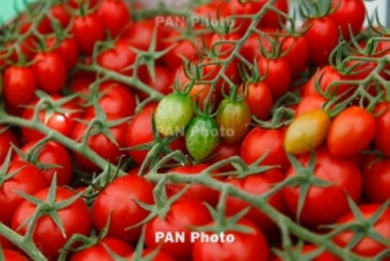 ՀՀ-ից լոլիկի արտահանումն աճել է 15%-ով, խաղողինը՝ 10%-ով