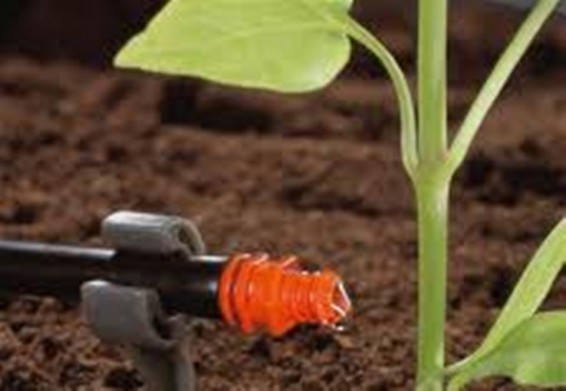 Երեք մարզում կիրականացվեն ներքին ոռոգման ցանցի հիմնանորոգման աշխատանքներ