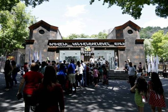 Երևանի կենդանաբանական այգին ընթացիկ տարում ավելի քան 100 000 այցելու է հյուրընկալել