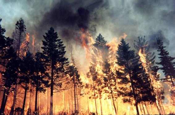 Կանադայում անտառային հրդեհների հետևանքով տարհանվել է ավելի քան 45 հազար մարդ