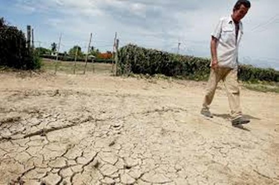 Սաստիկ երաշտ Հյուսիսային Կորեայում. ՄԱԿ-ն օգնության կոչ է արել