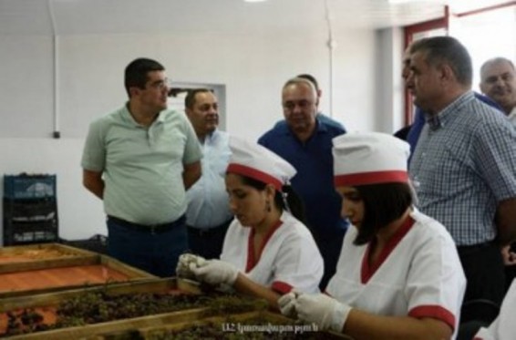 Արցախի կառավարությունը նոր այգիներ հիմնողներին աջակցություն կտրամադրի