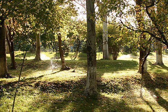 Ուշադրություն. Առաջիկա օրերին սպասվում է բարձր կարգի հրդեհավտանգ իրավիճակ