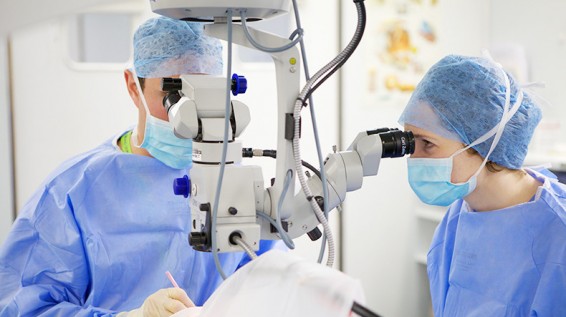 Գործադիրը հավանություն է տվել կուրությունը կանխարգելող ծրագրին