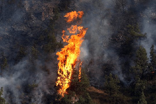Հանրապետությունում սպասվում է բարձր կարգի հրդեհավտանգ իրավիճակ. շոգ եղանակը կպահպանվի
