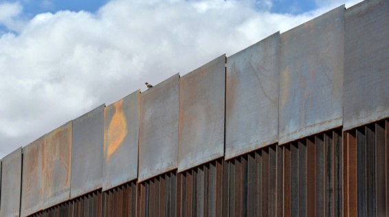 Լեհաստանն ուզում է Ուկրաինայի և Բելառուսի սահմանի երկայնքով պարիսպ կառուցել