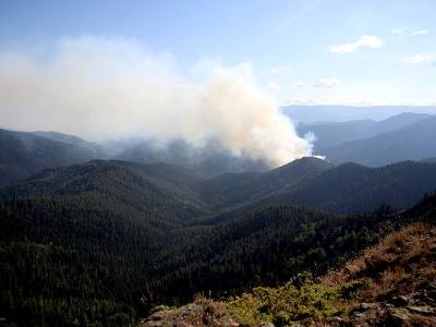 Կախեթիում Կոխտա լեռան լանջին անտառ է այրվում