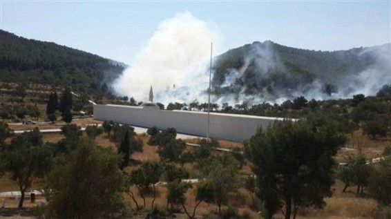 Ստամբուլում անտառային հրդեհ է բռնկվել